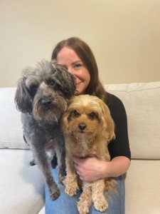Registered dog breeder - fluffy puppies